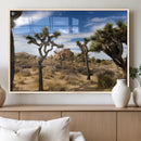 Joshua Tree Desert Wall Art Canvas Print – Framed by MyGreatCanvas | Canvas Wall Art Prints | Photo Prints & Wall Decor