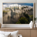 Tranquil Forest Wall Art Canvas Print – Framed Sunbeam by MyGreatCanvas | Canvas Wall Art Prints | Photo Prints & Wall Decor