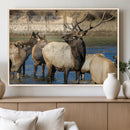 Wild Elk Wall Art Canvas Print – Framed Neutral Wildlife by MyGreatCanvas | Canvas Wall Art Prints | Photo Prints & Wall Decor