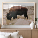 Western Wildlife Wall Art Canvas Print, Majestic Wilderness by MyGreatCanvas | Canvas Wall Art Prints | Photo Prints & Wall Decor
