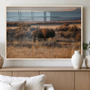 Western Framed Bison Wall Art Canvas Print by MyGreatCanvas | Canvas Wall Art Prints | Photo Prints & Wall Decor