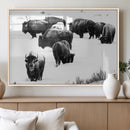 Buffalo Herd Wall Art Canvas Print – Framed Black and White by MyGreatCanvas | Canvas Wall Art Prints | Photo Prints & Wall Decor