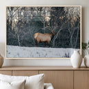 Wild Elk Wall Art Canvas Print – Framed Winter Wildlife by MyGreatCanvas | Canvas Wall Art Prints | Photo Prints & Wall Decor