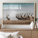 Elk Herd Wall Art Canvas Print – Framed Wildlife Photography