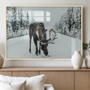 Moose Snow Wall Art Canvas Print – Framed Winter Wildlife