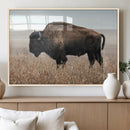 American Bison Wall Art Canvas Print – Majestic Buffalo