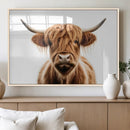Scottish Highland Cow Canvas Print, Framed Highland Cow