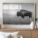 Black White Bison Canvas Wall Art, Rustic American Buffalo by MyGreatCanvas | Canvas Wall Art Prints | Photo Prints & Wall Decor