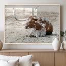 Majestic Longhorn Wall Art Canvas Print – Resting on Sunlit by MyGreatCanvas | Canvas Wall Art Prints | Photo Prints & Wall Decor