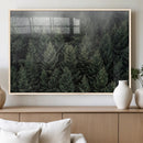 Dense Evergreen Forest Misty Morning Fog Pine Trees Woodland by MyGreatCanvas | Canvas Wall Art Prints | Photo Prints & Wall Decor