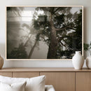 Misty Forest Wall Art Canvas Print, Tall Trees and Foggy by MyGreatCanvas | Canvas Wall Art Prints | Photo Prints & Wall Decor