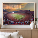 Dooley Stadium Wall Art, Sports Arena Canvas Print, Dooley by MyGreatCanvas | Canvas Wall Art Prints | Photo Prints & Wall Decor