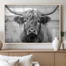Black White Highland Cow Wall Art Canvas Print