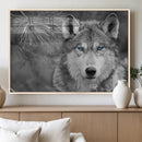 Wild Wolf Blue Eye Wall Art Canvas Print