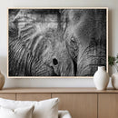 Wild Old Elephant Wall Art Canvas Print