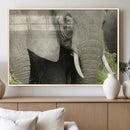 Wild Elephant Wall Art Canvas Print by MyGreatCanvas | Canvas Wall Art Prints | Photo Prints & Wall Decor