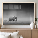 Elephand and Zebra Wall Art Canvas Print, Modern Artwork