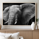 Big Elephant Close Up Wall Art Canvas Print