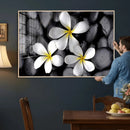 Plumeria Frangipani Black Stone Canvas | White Flower Spa by MyGreatCanvas | Canvas Wall Art Prints | Photo Prints & Wall Decor