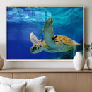 Sea Turtle Wall Art Canvas Print, Sea life in the Ocean Wall