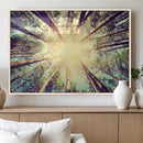 Tree and Sunshine Canvas Print