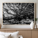 Mighty Angel Oak Wall Art | Angel Oak Tree Art Print by MyGreatCanvas | Canvas Wall Art Prints | Photo Prints & Wall Decor