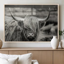Cow Focus Canvas Wall Art Print by MyGreatCanvas | Canvas Wall Art Prints | Photo Prints & Wall Decor