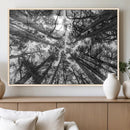 Trees Contemporary Art Canvas Print by MyGreatCanvas | Canvas Wall Art Prints | Photo Prints & Wall Decor