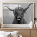 Texas Cow Wall Art Canvas, Texas Longhorn Cattle Canvas by MyGreatCanvas | Canvas Wall Art Prints | Photo Prints & Wall Decor