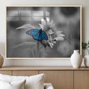 Blue Butterfly Black and White Canvas Wall Art by MyGreatCanvas | Canvas Wall Art Prints | Photo Prints & Wall Decor