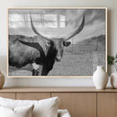 Cattle Wall Art Longhorn Cow Canvas Print