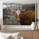Texas Longhorn Canvas Wall Art - Longhorn Steer Canvas Wall by MyGreatCanvas | Canvas Wall Art Prints | Photo Prints & Wall Decor