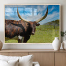 Longhorn and Cow Wall Art, Country Cow Wall Decor Canvas by MyGreatCanvas | Canvas Wall Art Prints | Photo Prints & Wall Decor