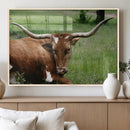 Longhorn Cow Animal Wall Art Canvas Print by MyGreatCanvas | Canvas Wall Art Prints | Photo Prints & Wall Decor