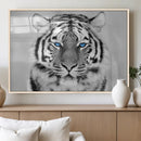 Black and White Tiger Wall Art Animal Canvas Print
