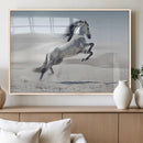 Prancing Horse Desert Large Wall Art Canvas Print – Majestic
