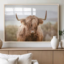 Scottish Serene Highland Cow Canvas Wall Art – Serene