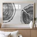 Abstract Large Tree Rings – Minimalist Black and White Wood