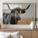 Texas Bull Longhorn Wall Art Canvas Print for Farm House