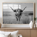 Texas Cow Longhorn Wall Art Canvas Print for Farm House Wall