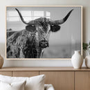 Texas Cow Longhorn Wall Art Canvas Print in Black and White