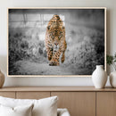 Jaguar Wall Art Canvas Print - Majestic Big Cat in Focused by MyGreatCanvas | Canvas Wall Art Prints | Photo Prints & Wall Decor