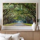 Wormsloe State Plantation Driveway Wall Art Canvas Print by MyGreatCanvas | Canvas Wall Art Prints | Photo Prints & Wall Decor