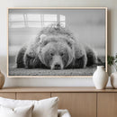 Resting Grizzly Bear Wall Art Canvas Print – Majestic Lazy by MyGreatCanvas | Canvas Wall Art Prints | Photo Prints & Wall Decor