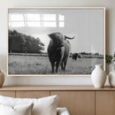Black and White Highland Cow Wall Art Canvas Print | Rustic by MyGreatCanvas | Canvas Wall Art Prints | Photo Prints & Wall Decor