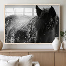 Black Horse in Snow Canvas Print | Winter Horse Wall Art |