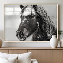 Framed Black and White Horse Wall Art | Ready to Hang and by MyGreatCanvas | Canvas Wall Art Prints | Photo Prints & Wall Decor