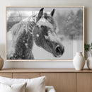 Black Horse Winter Wall Art | Ready to Hang and Framed |