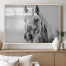 White Horse Wall Art | Ready to Hang and Framed | Winter