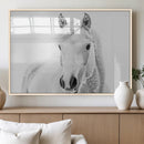 Majestic White Horse Wall Art | Ready to Hang and Framed |
